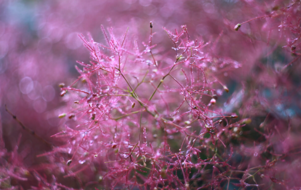 SpotlightFrame Studio - Image 4